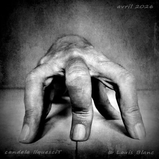 candela liquesciT